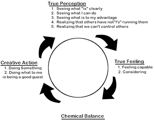 The Living Cycle